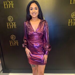 NWT Celine Berry Metallic Dress by Lucy Paris